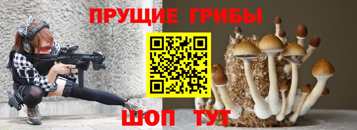 Фрязино  Псилоцибиновые грибы Psilocybine cubensis  Галлюциногенные грибы мицелий  Вход с VPN 