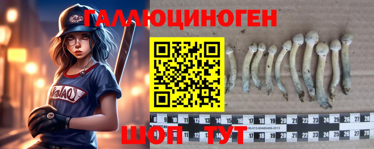 Галлюциногенные грибы Psilocybe Фрязино